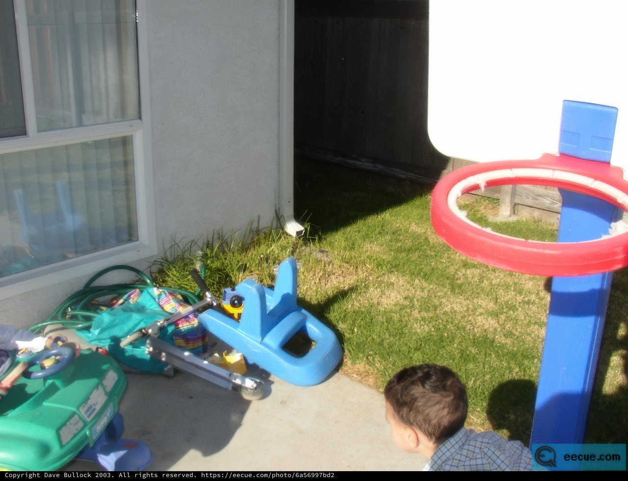 Backyard Basketball Fun