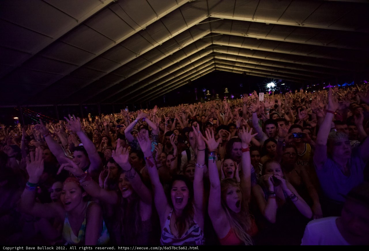 Coachella Crowd Goes Wild