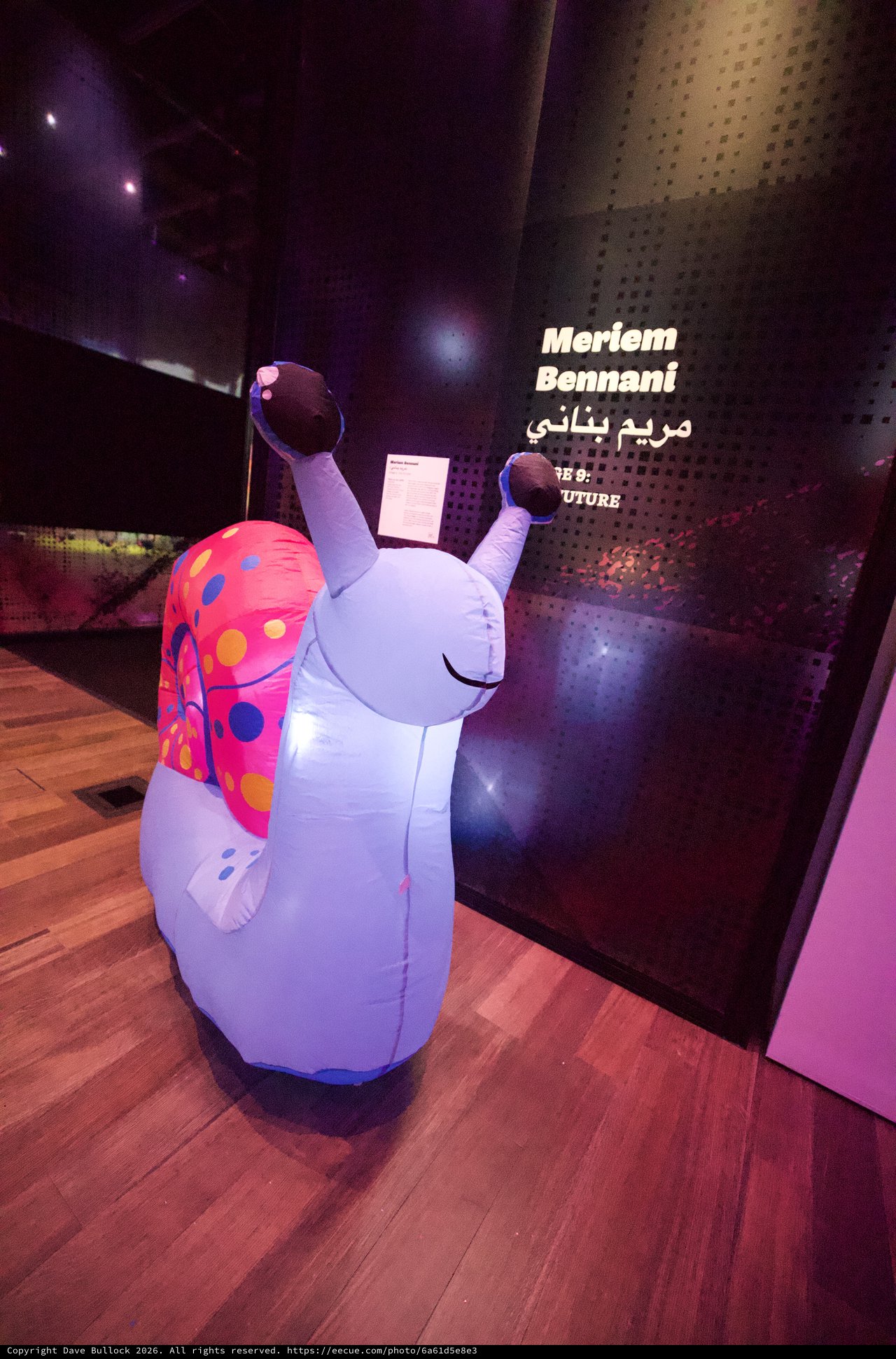 Whimsical Inflatable Snail Art Installation at Museum