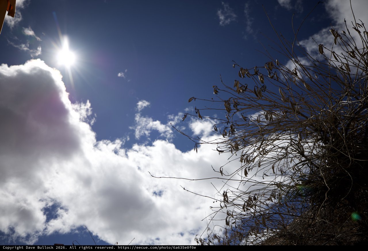 Dramatic Sunburst Through Clouds with Desert Vegetation