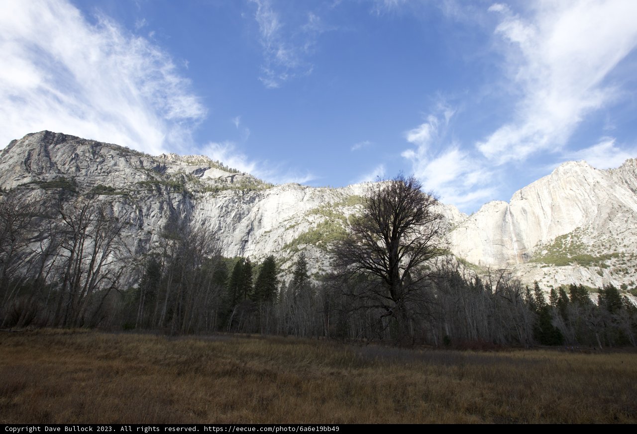 The Solitary Sentinel of Yosemite