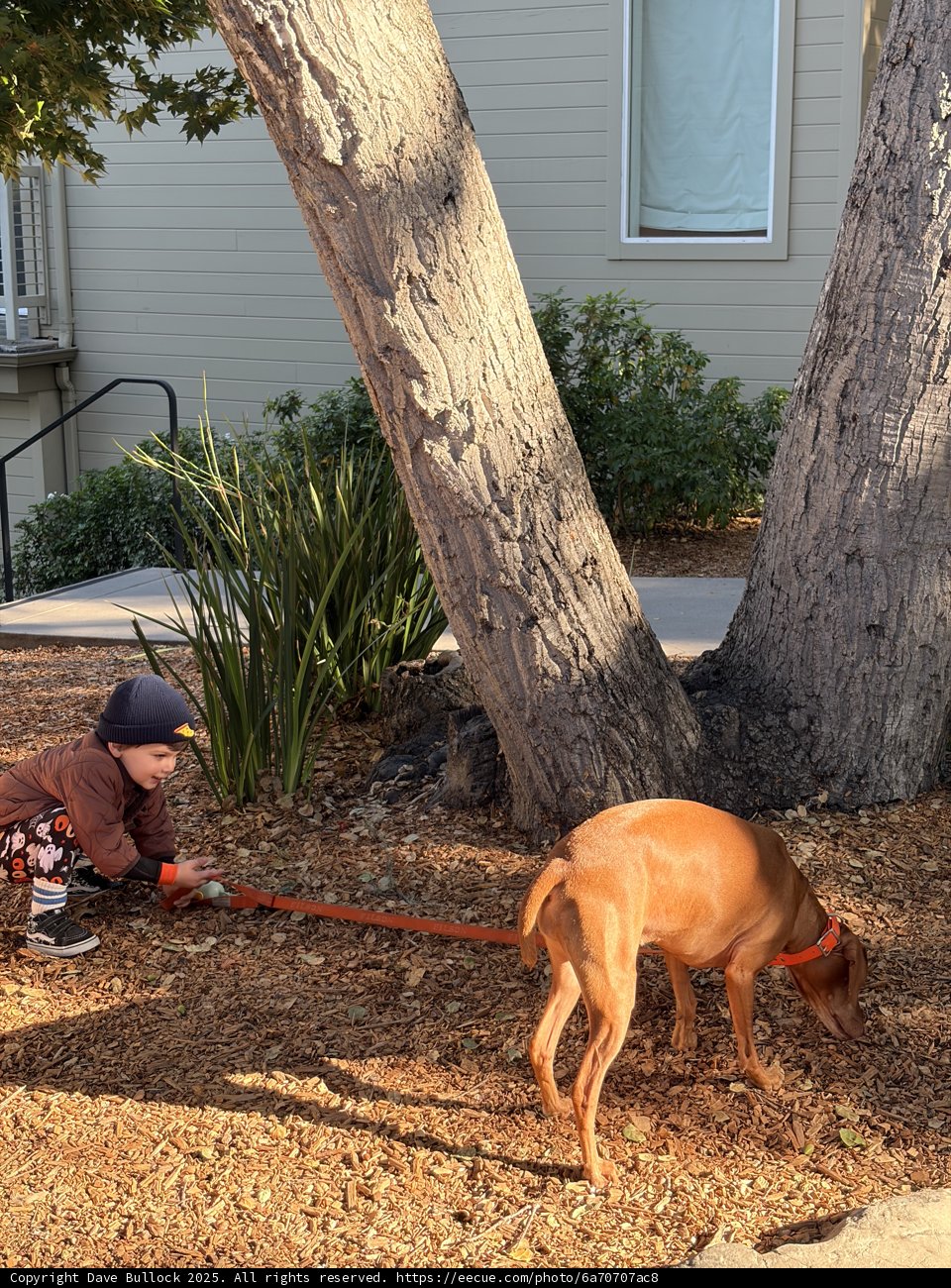 Morning Adventures in Carmel