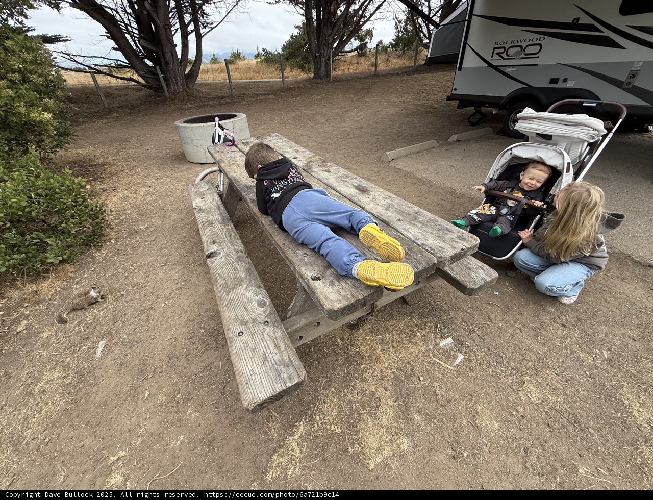Morning Playtime in Cambria