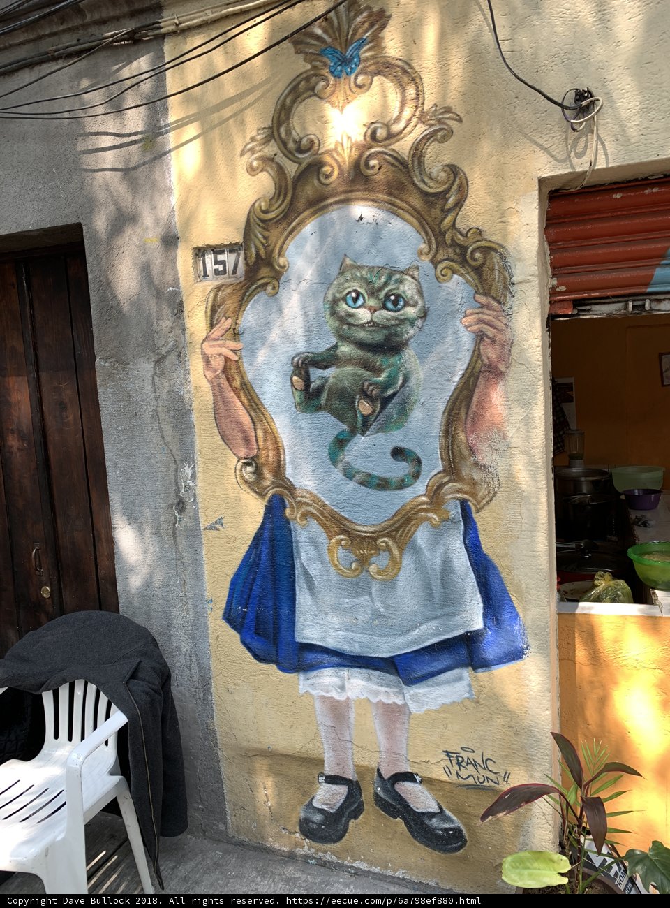 Cat Mirror Mural on Building