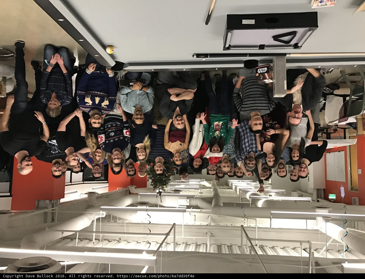 Office Group Shot