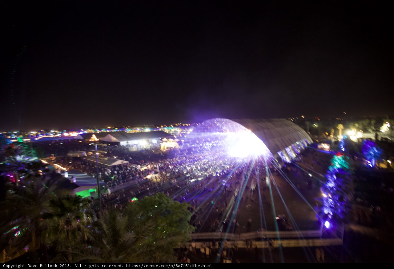 Sparkling Night in the Urban Jungle