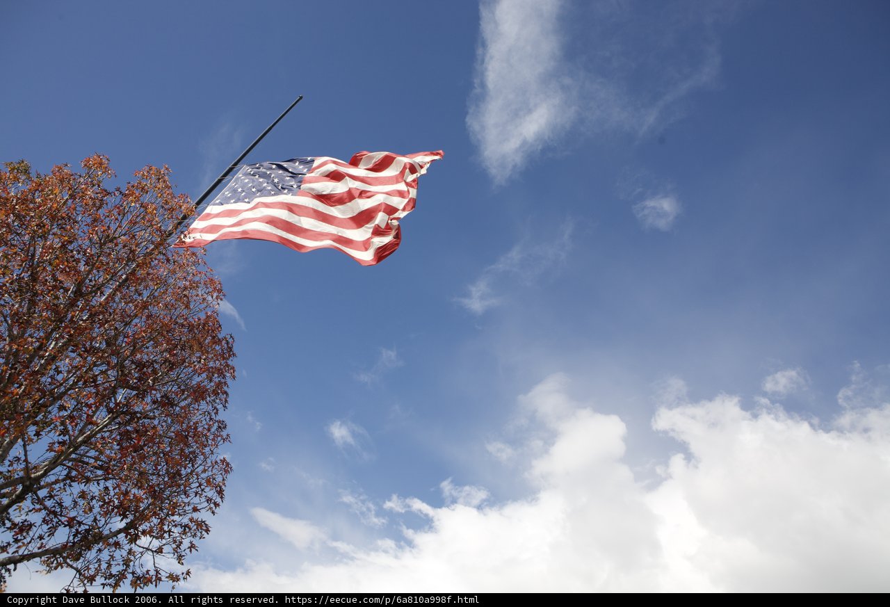 Proudly Waving