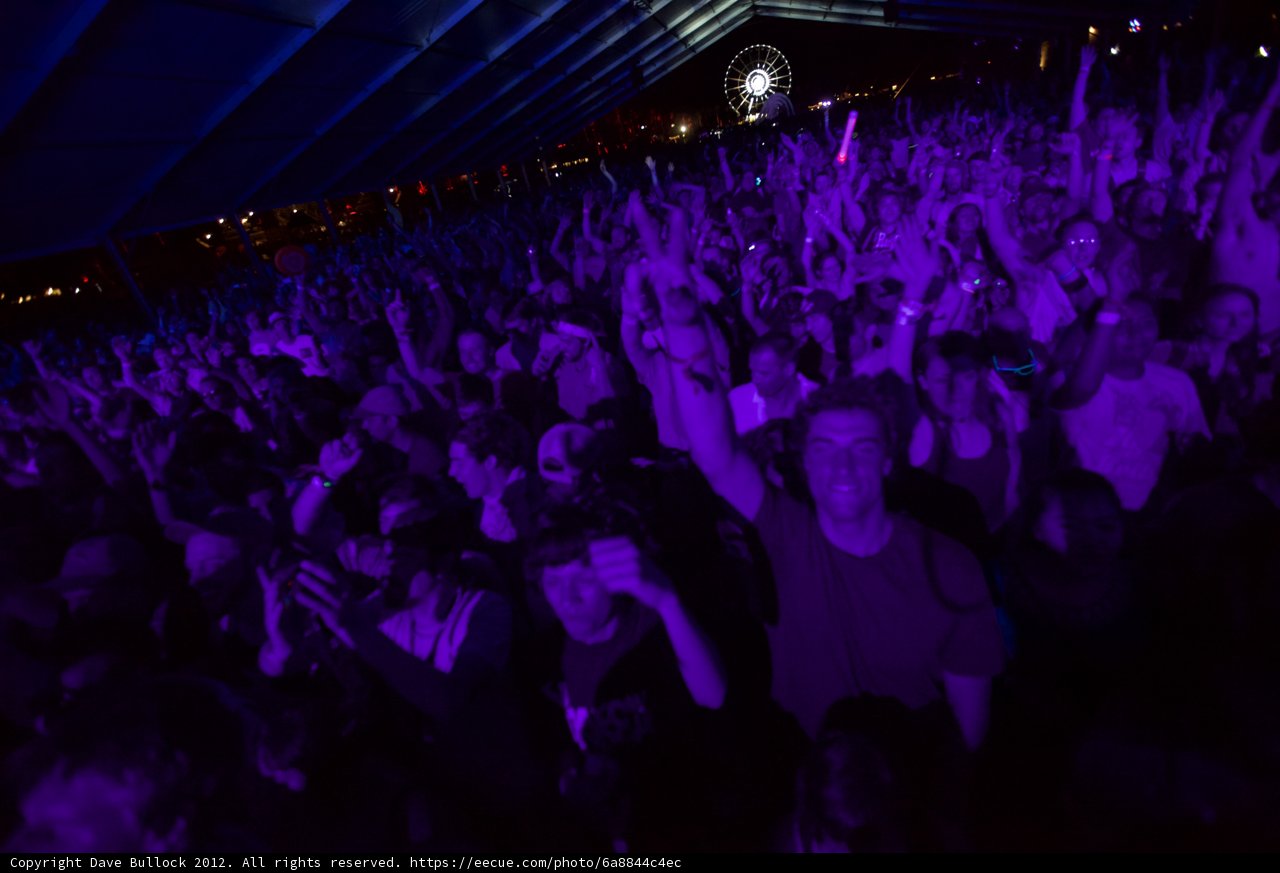 Purple Haze at Coachella 2012