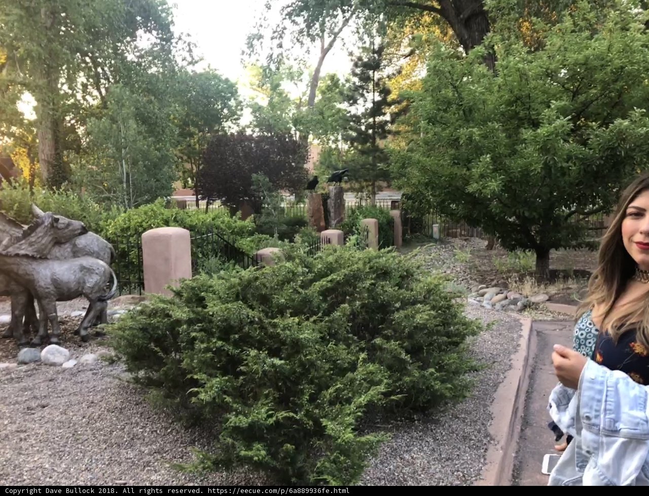 Reflections on Art and Nature