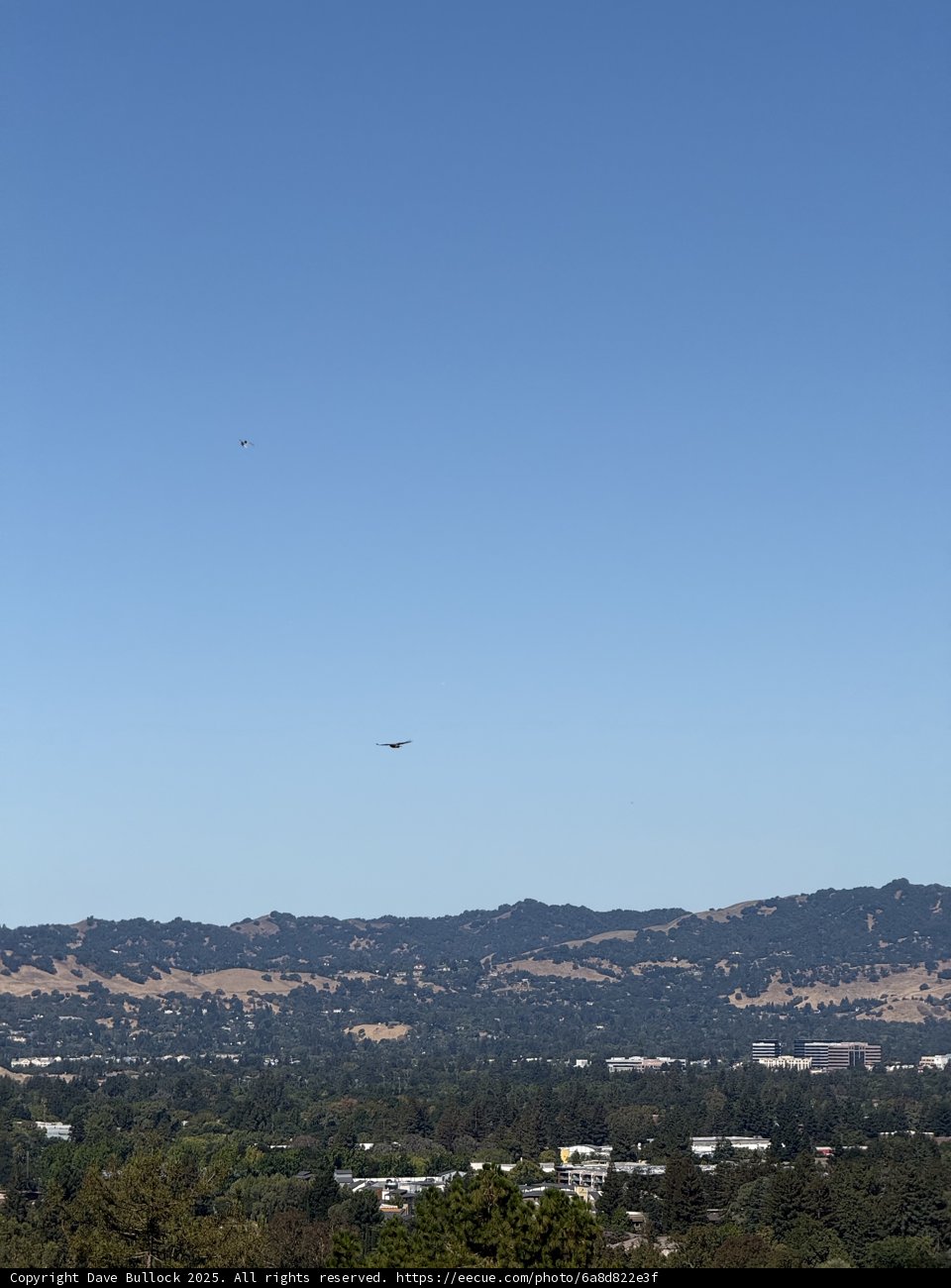 Skies Above Walnut Creek
