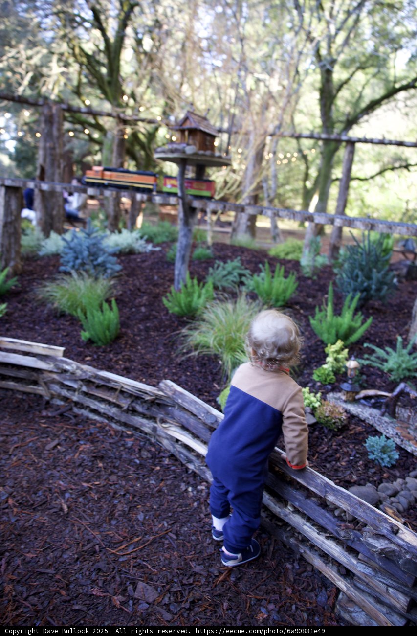 Exploring Nature's Playground