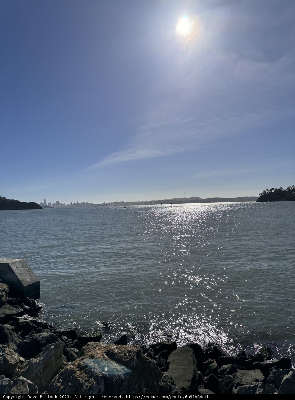 The Serene Bay View from Shoreline Park