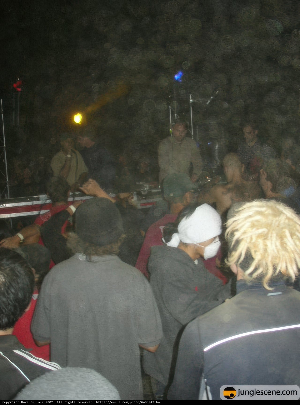 Nightclub Concert Crowd