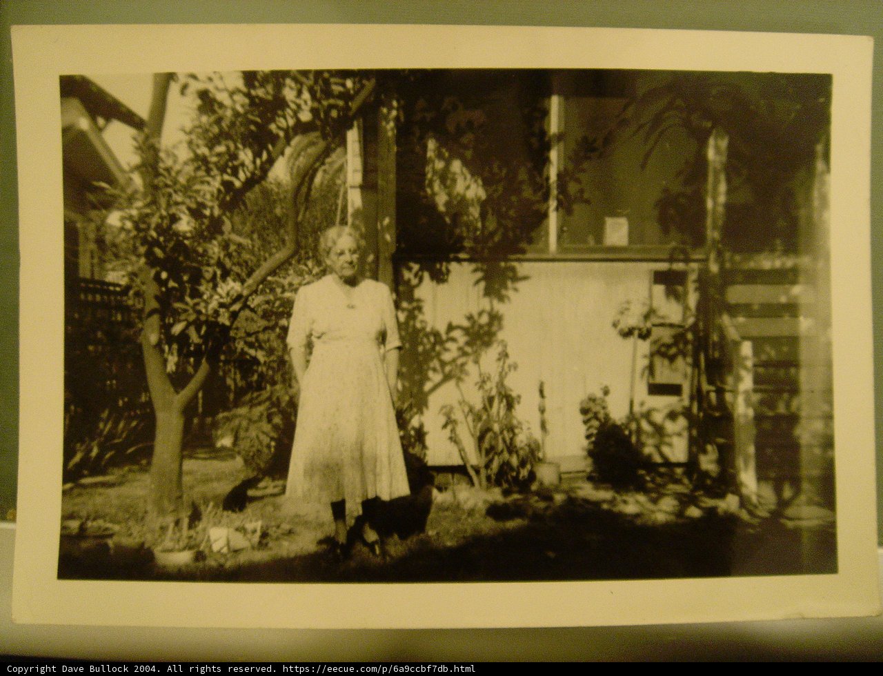 The Wedding Gardener