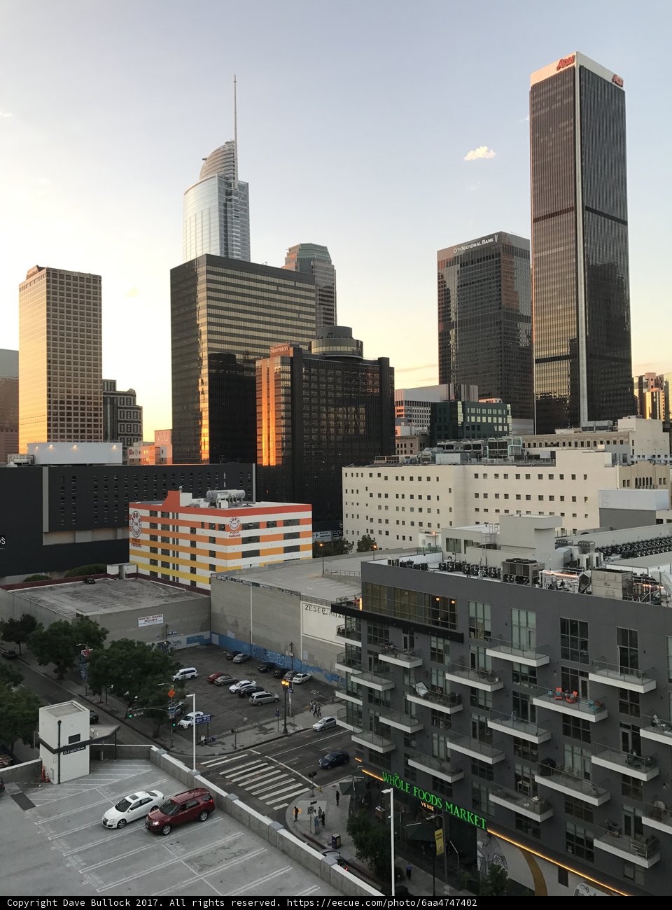 Overlooking the Urban Metropolis