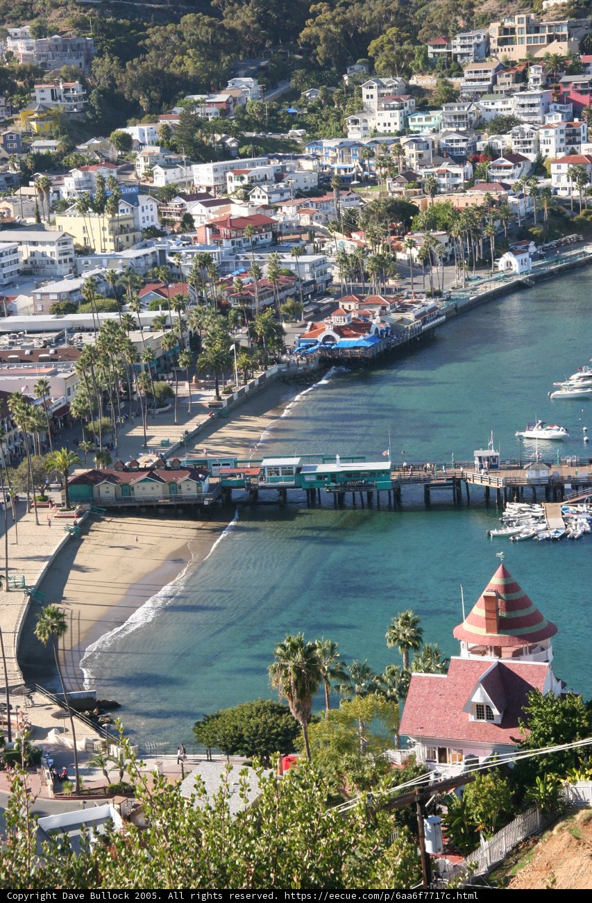 Aerial View of the Waterfront Cityscape