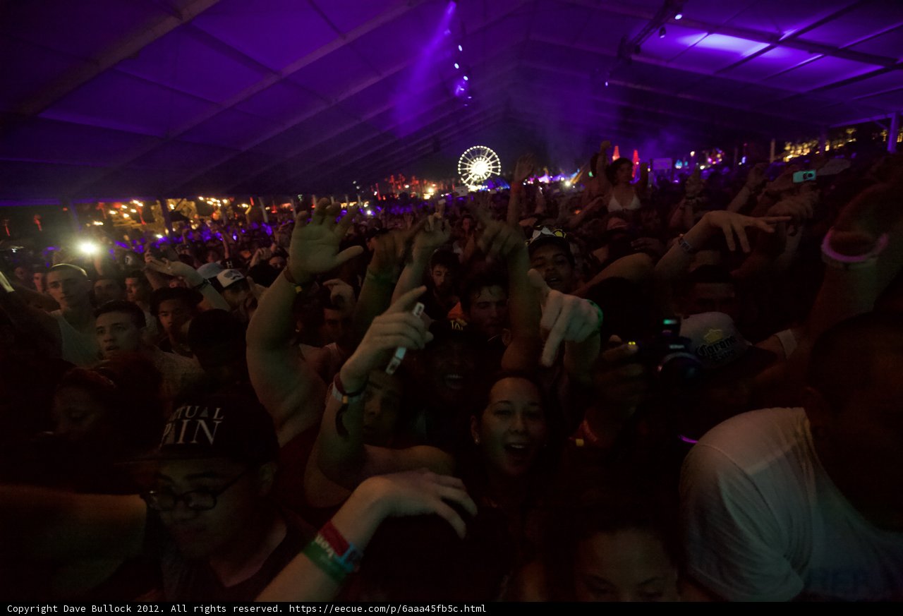 Electrifying Crowd at Coachella Concert