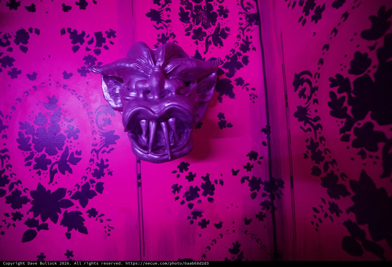 Ornate Purple Dragon Mask on Vibrant Floral Wallpaper