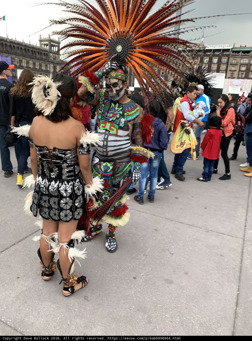 Carnival Duo