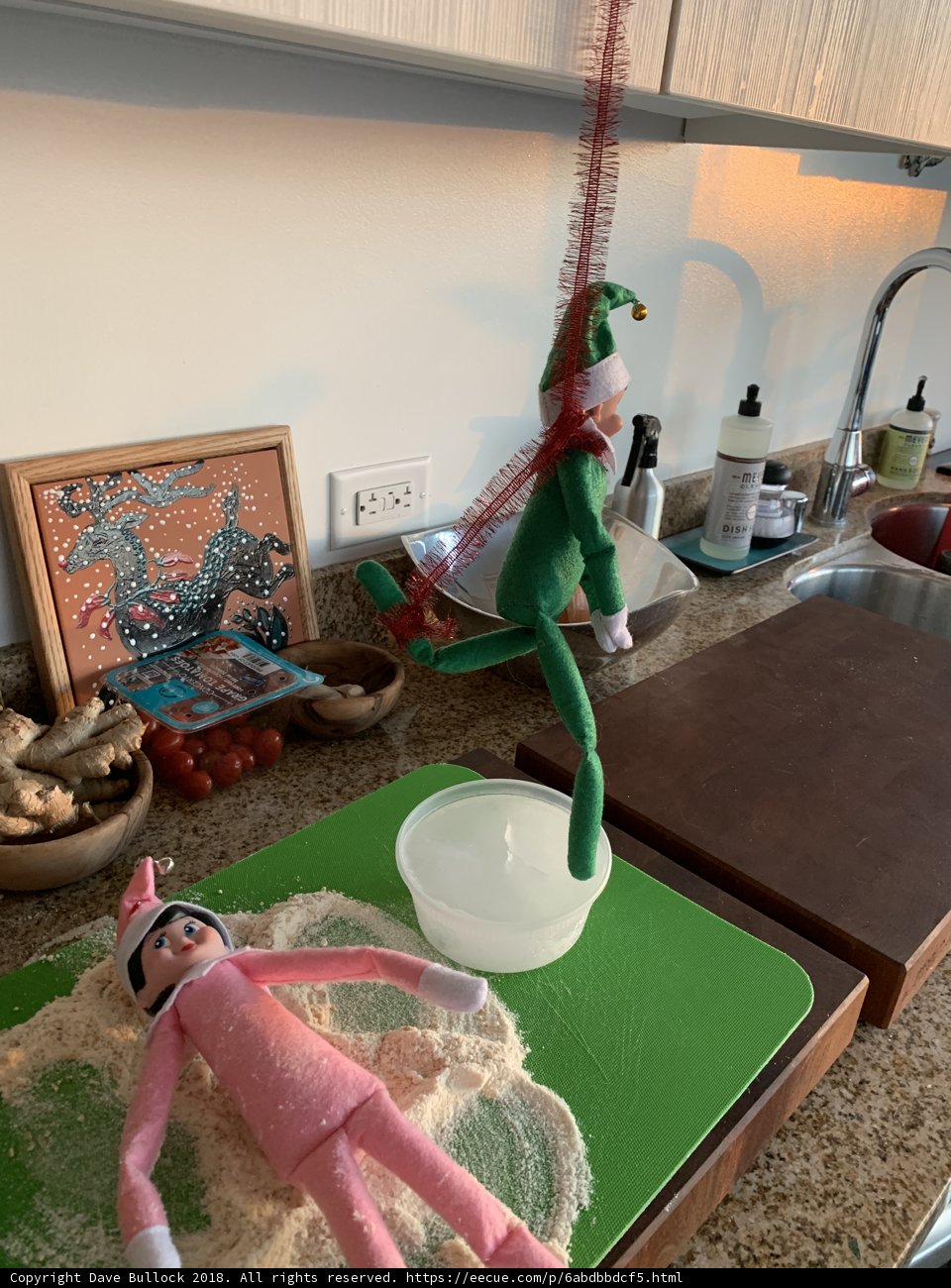 Mischievous Elf Fun