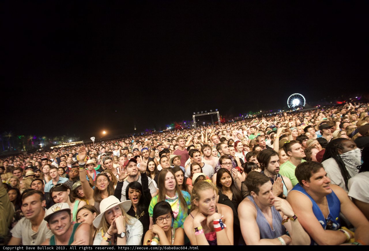 The Electric Crowd at Coachella