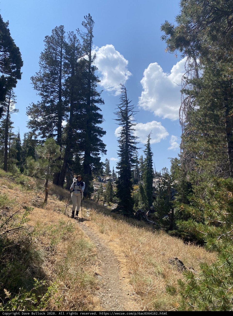 Into the Wilderness
