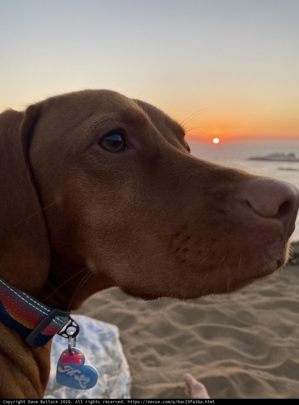 Beach Sunset Gaze