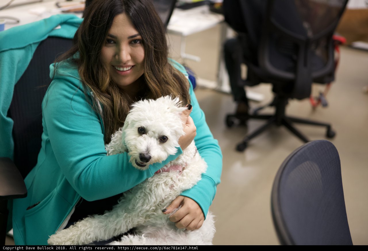 Office Companion
