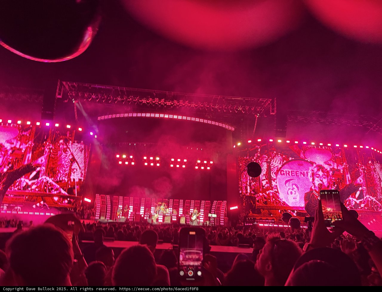 Electric Vibes Under the Stars