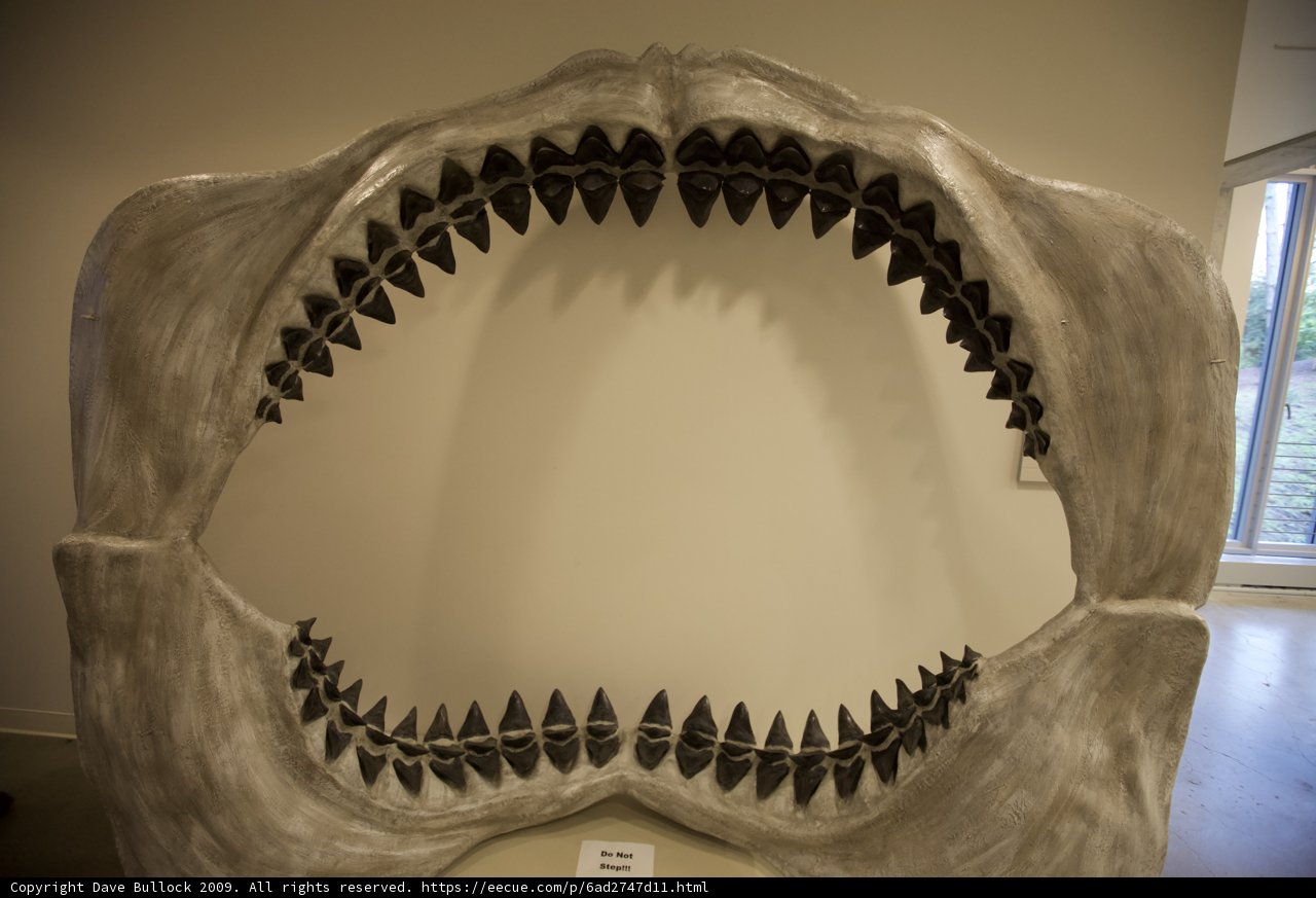 Jaws of the Deep