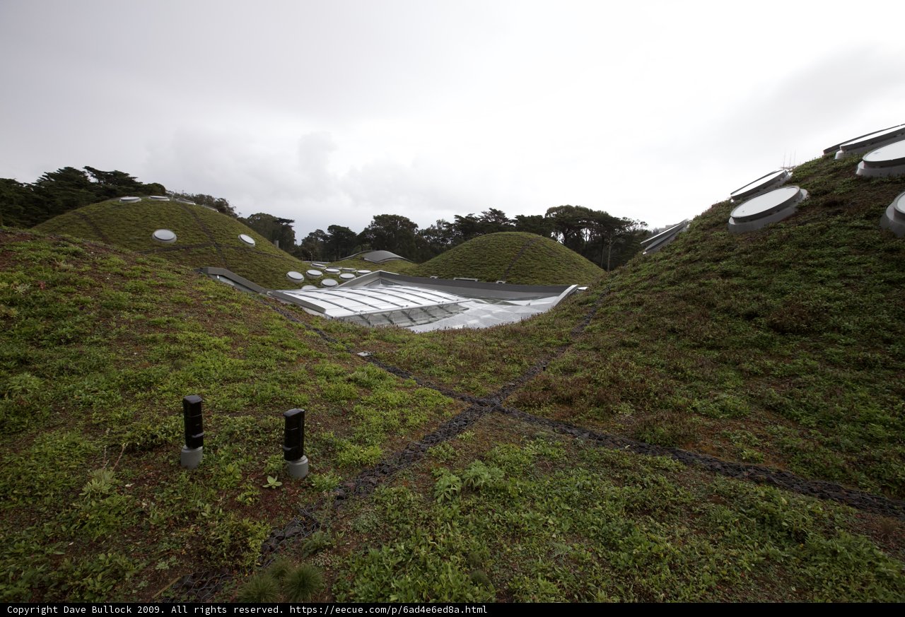 The Evolving Landscape: A View of the New Museum of Natural History's Green Roof