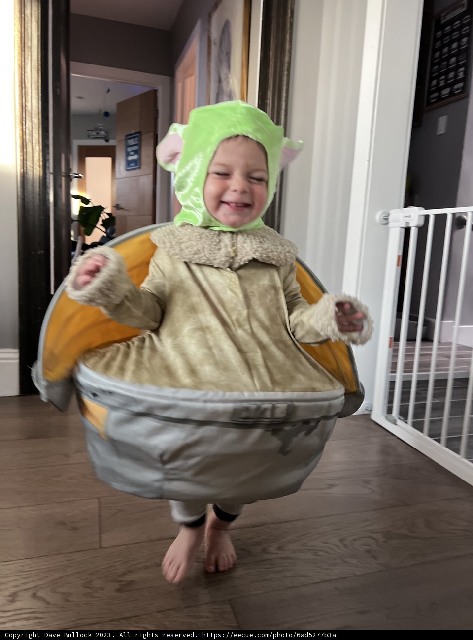 Wesley's First Halloween Debut as the Cuddliest Teddy Bear