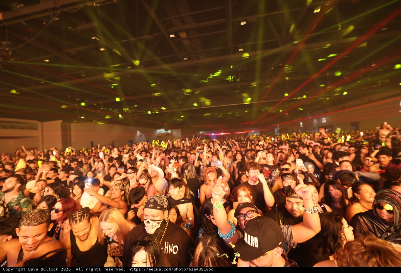 Massive Crowd Erupts at Wobbleland 2026 Festival