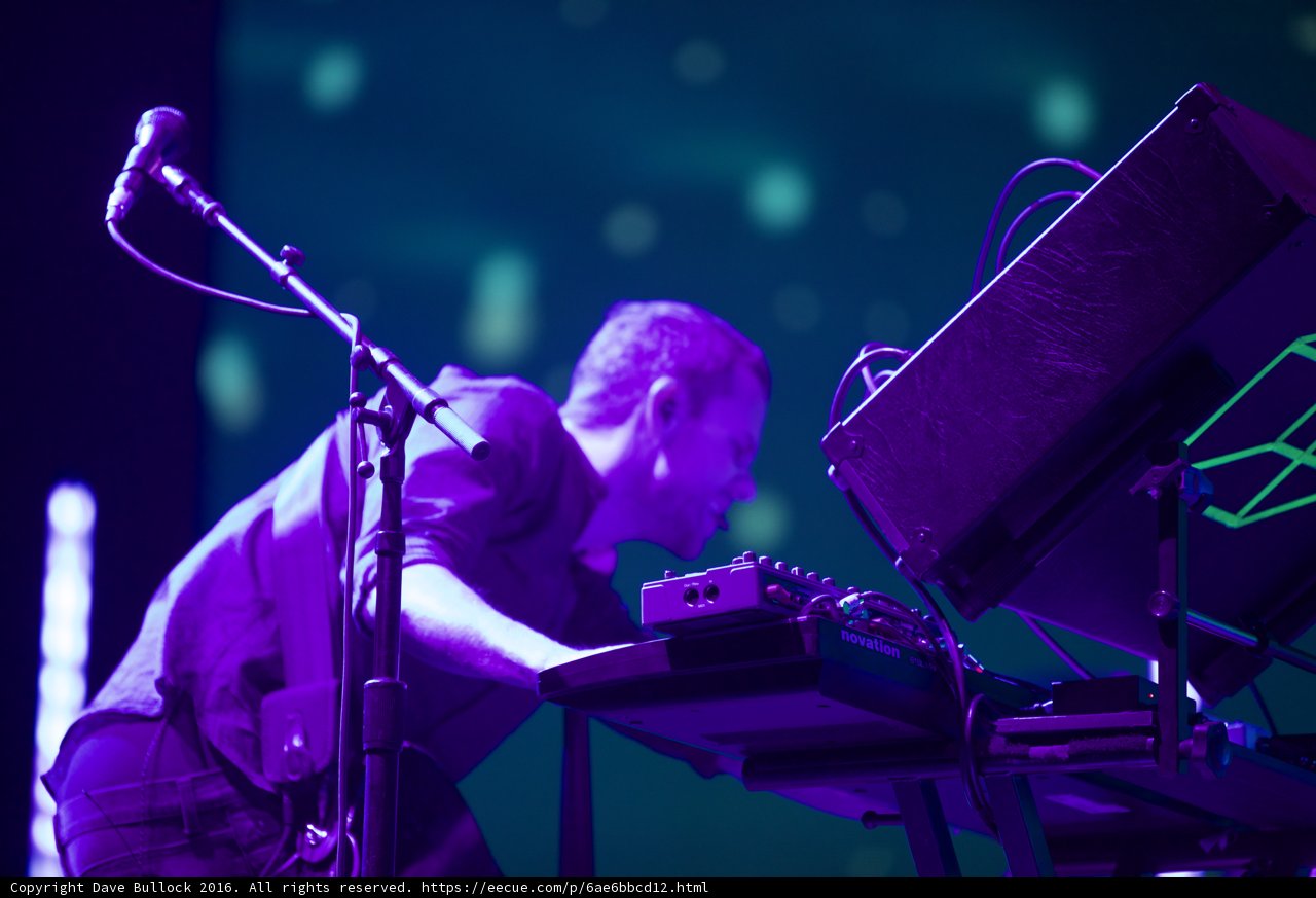 Purple Haze Keyboard Performance