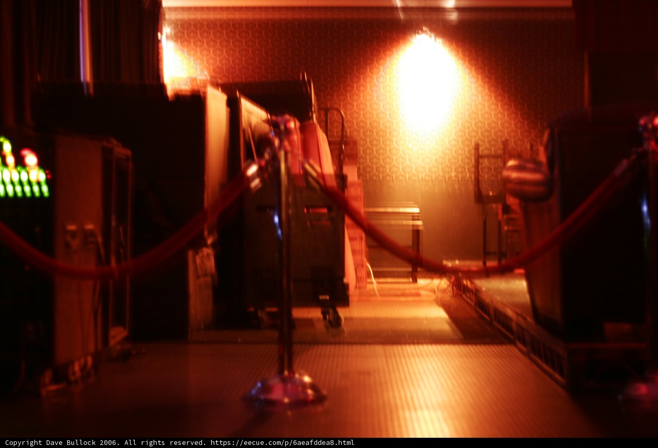 Spotlight on the Red Carpet