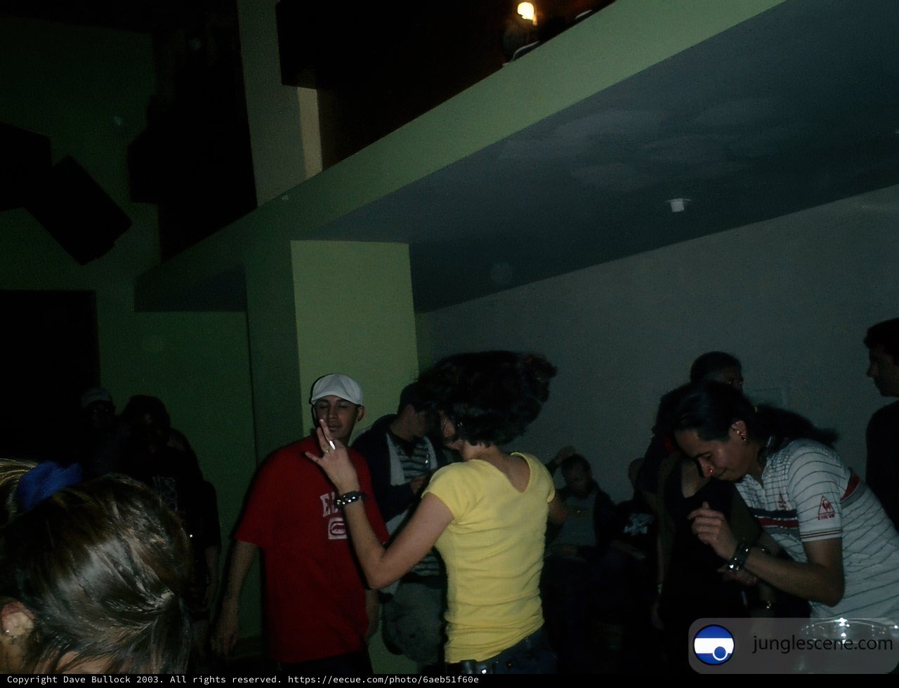 Nightclub Gathering