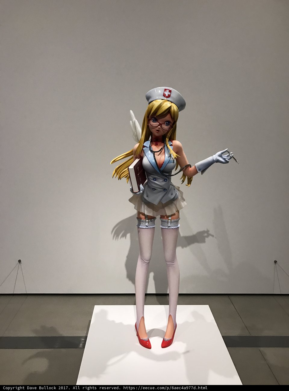 The Elegant Nurse