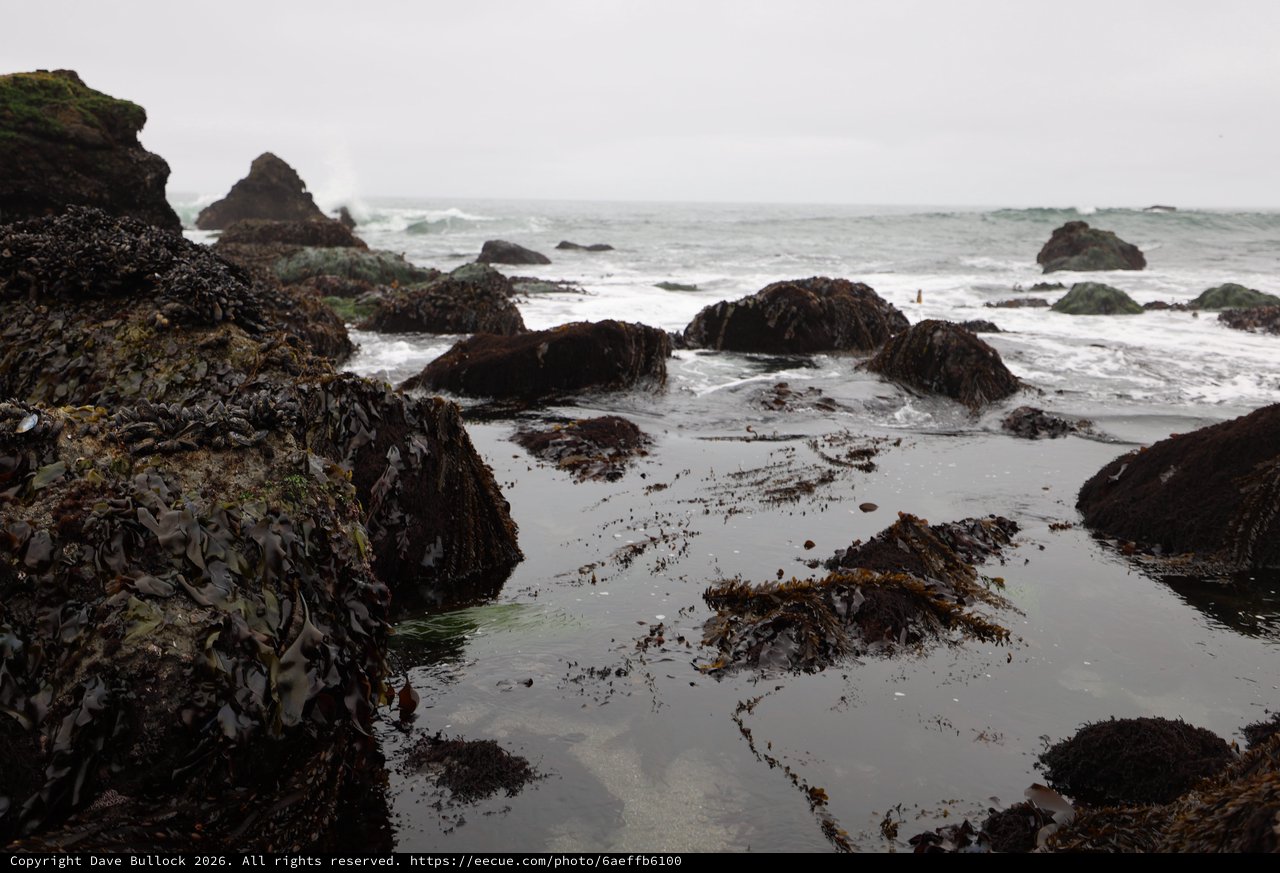 Rugged Tide Pools at Schoolhouse Beach on Overcast Day