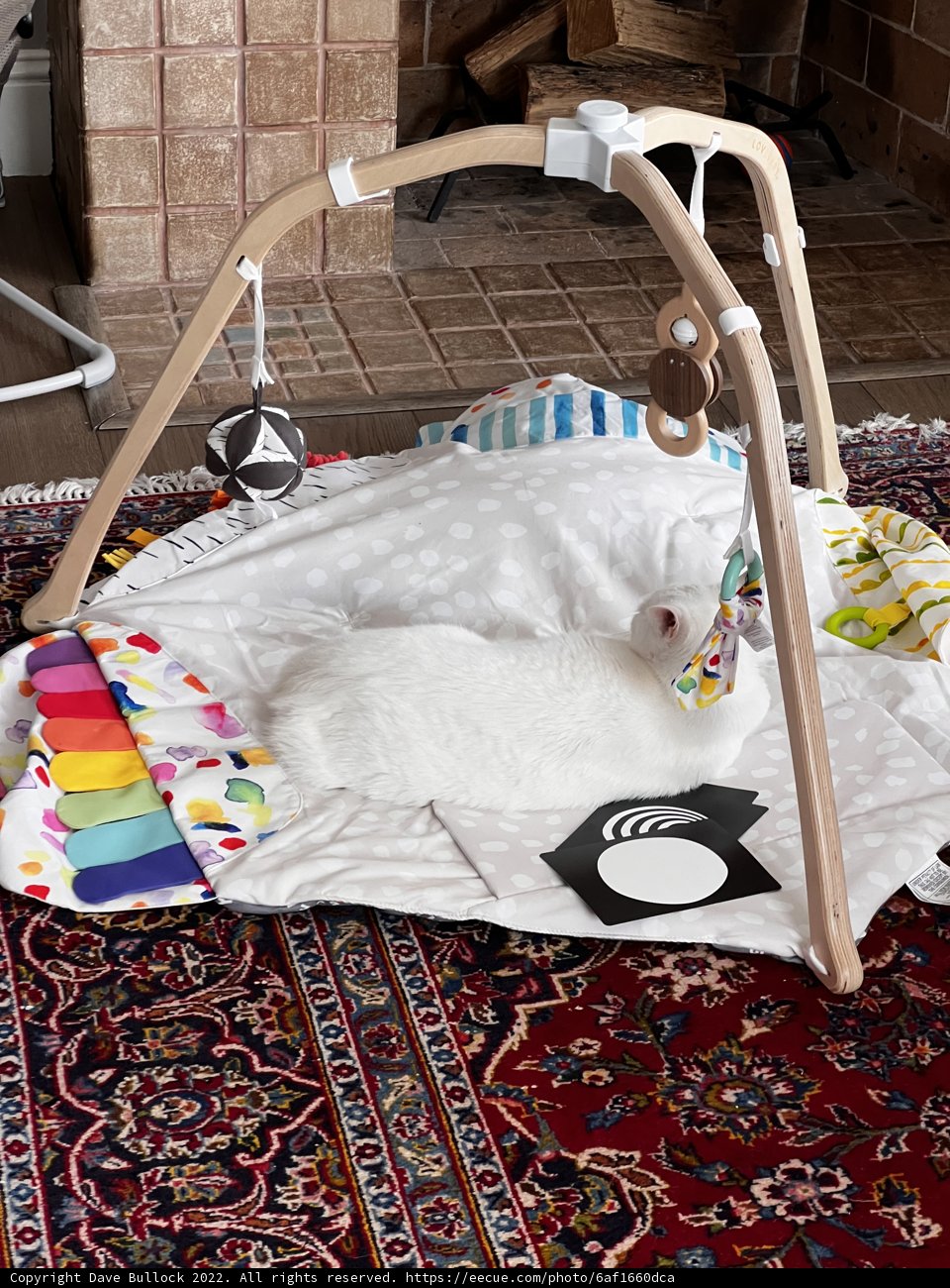 Cozy corners for babies and pets