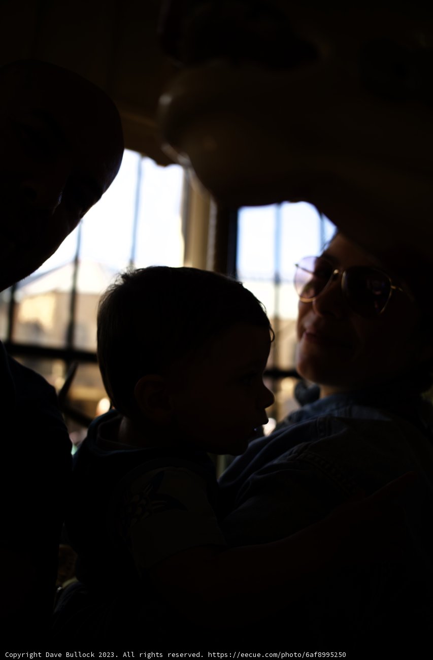 A Day at Golden Gate Park Carousel, 2023