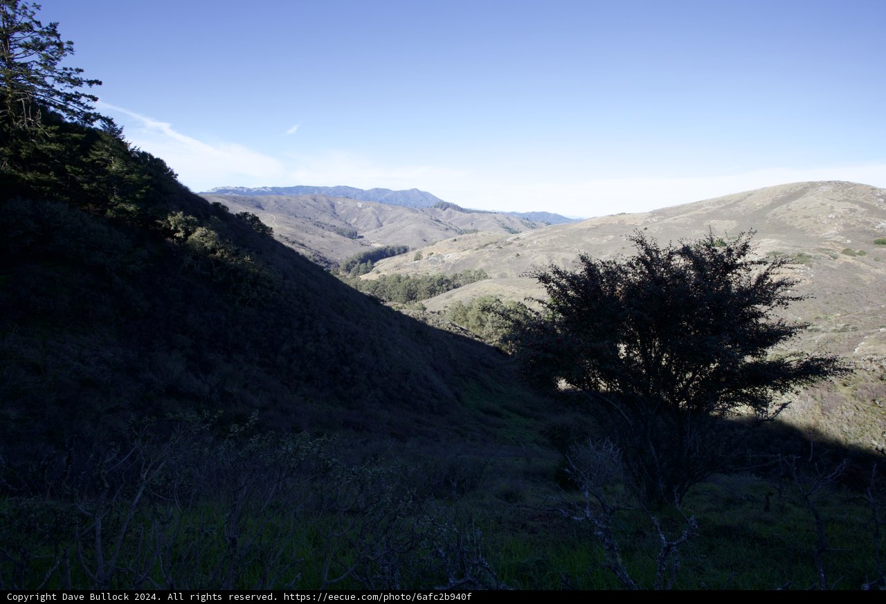Pristine Nature's Walk through Marin Headland's Mountain Range