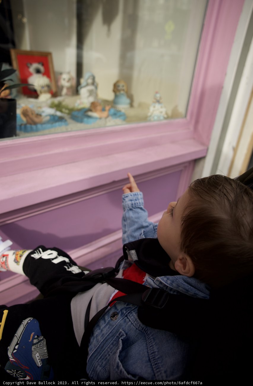 The Art Admirer