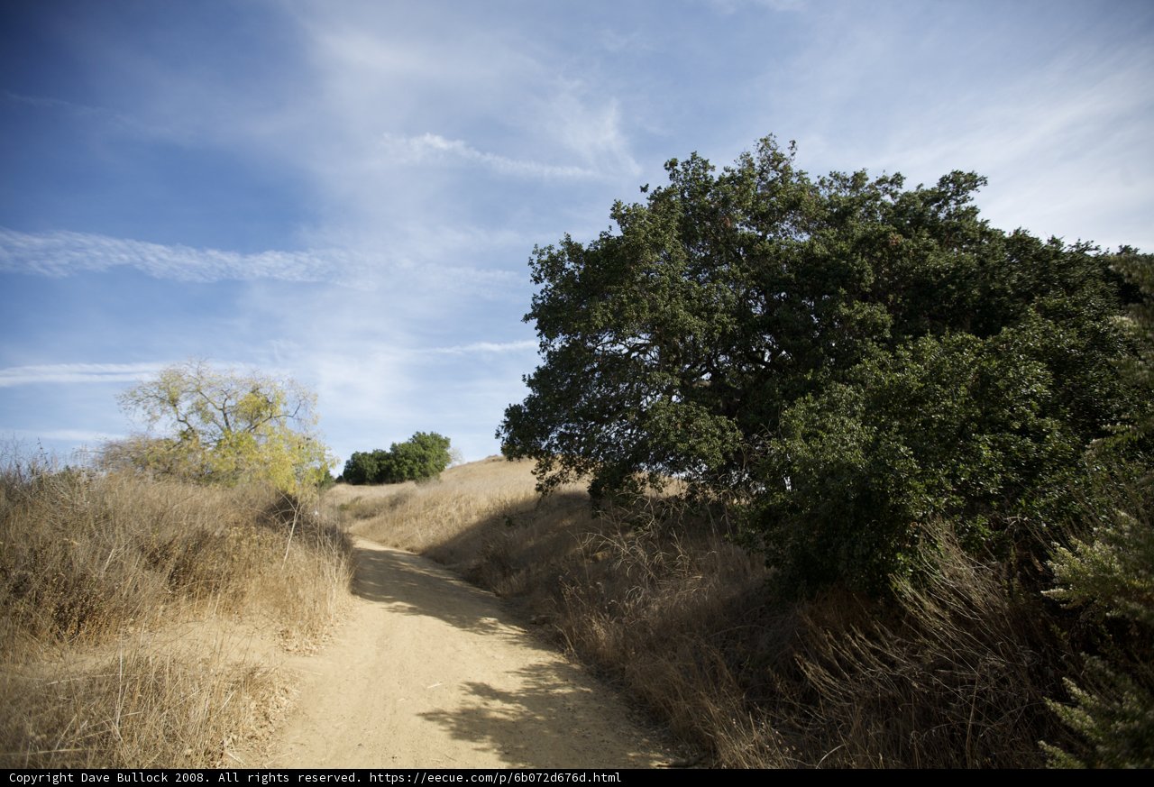 Gravel Path Through the Wilderness