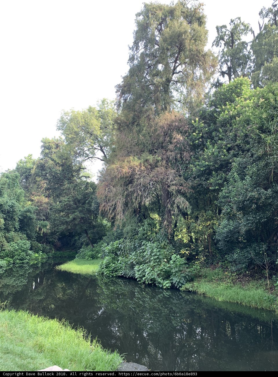 Serene Waterways in the Park