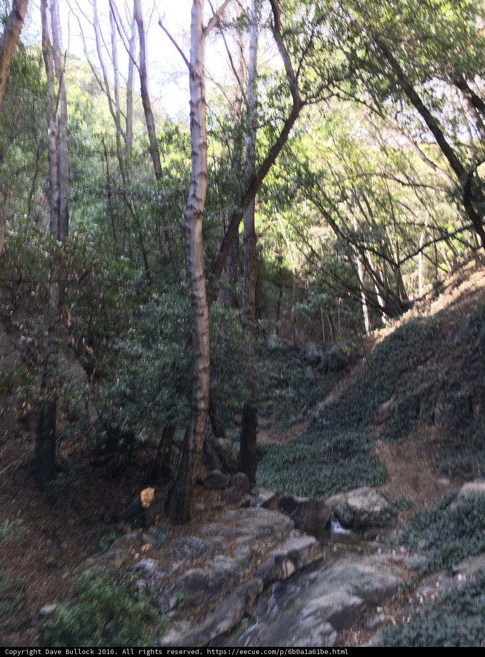 Into the Wilderness