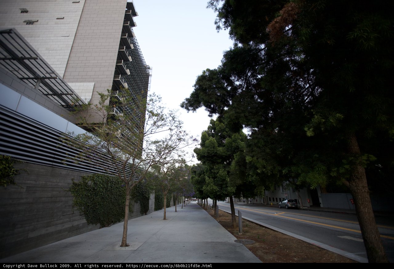 Urban Pathway
