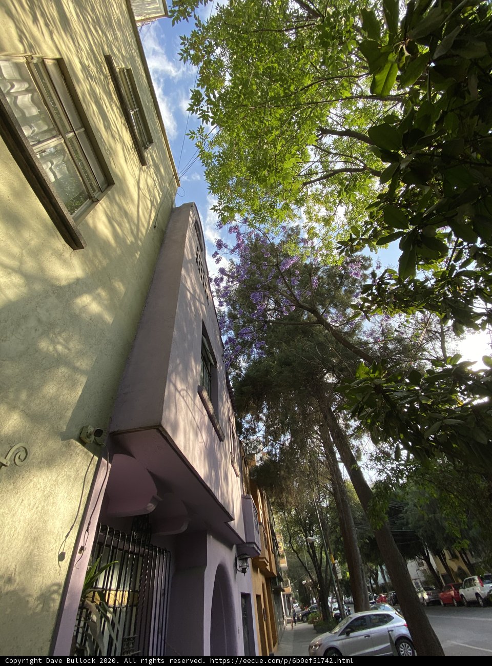 Purple Building in an Urban Landscape