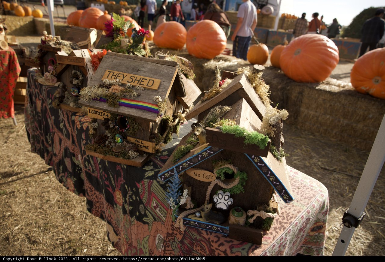 Harvest Season at Halfmoon Bay
