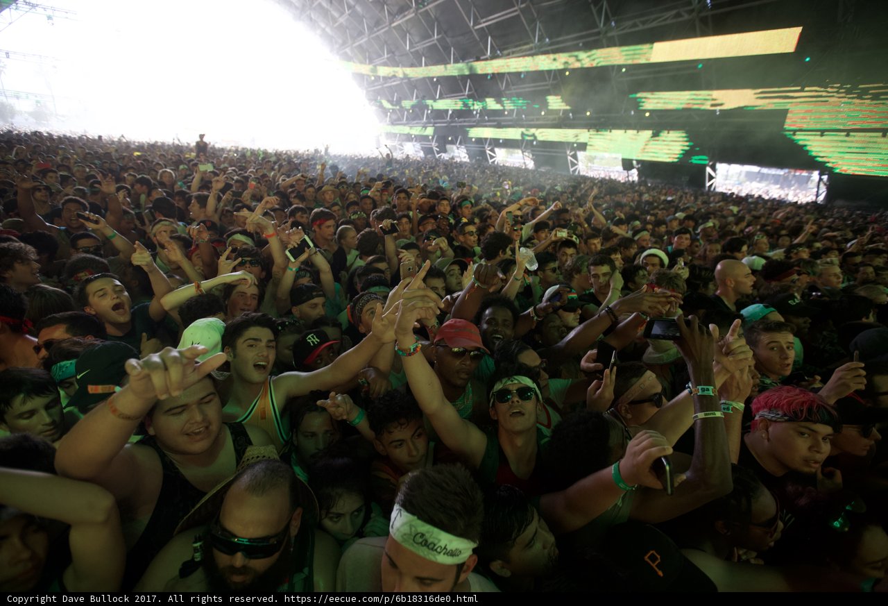 The Thriving Crowd at Coachella 2017