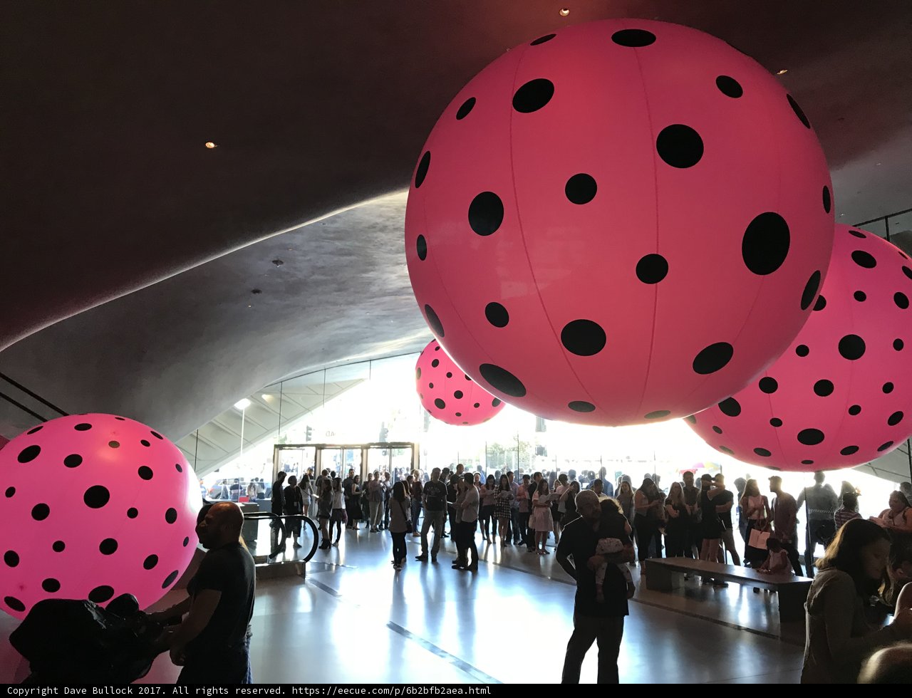 Polka Dot Party